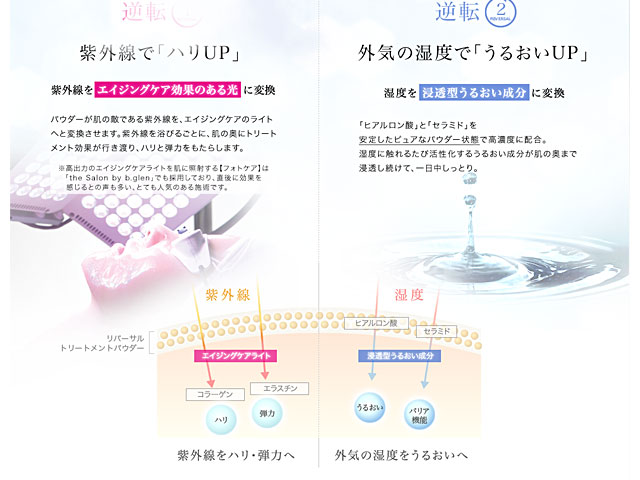 ビーグレン限定プレゼント リバーサルトリートメントパウダーの特徴