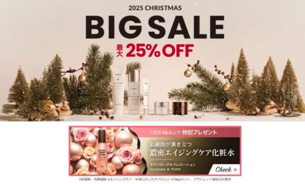 2025年12月ビーグレンクリスマスビックセール